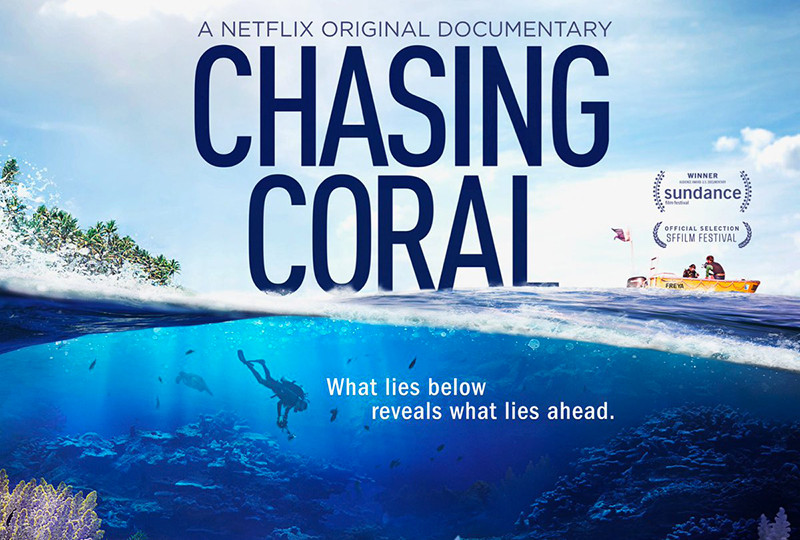 Chasing Coral - Climate Films You Should Watch!