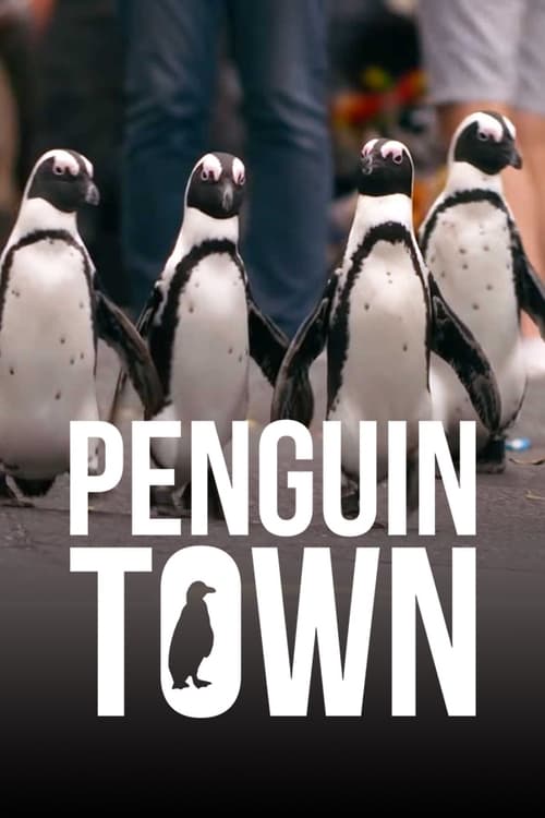 Penguin Town - Family Films to Watch for COP26