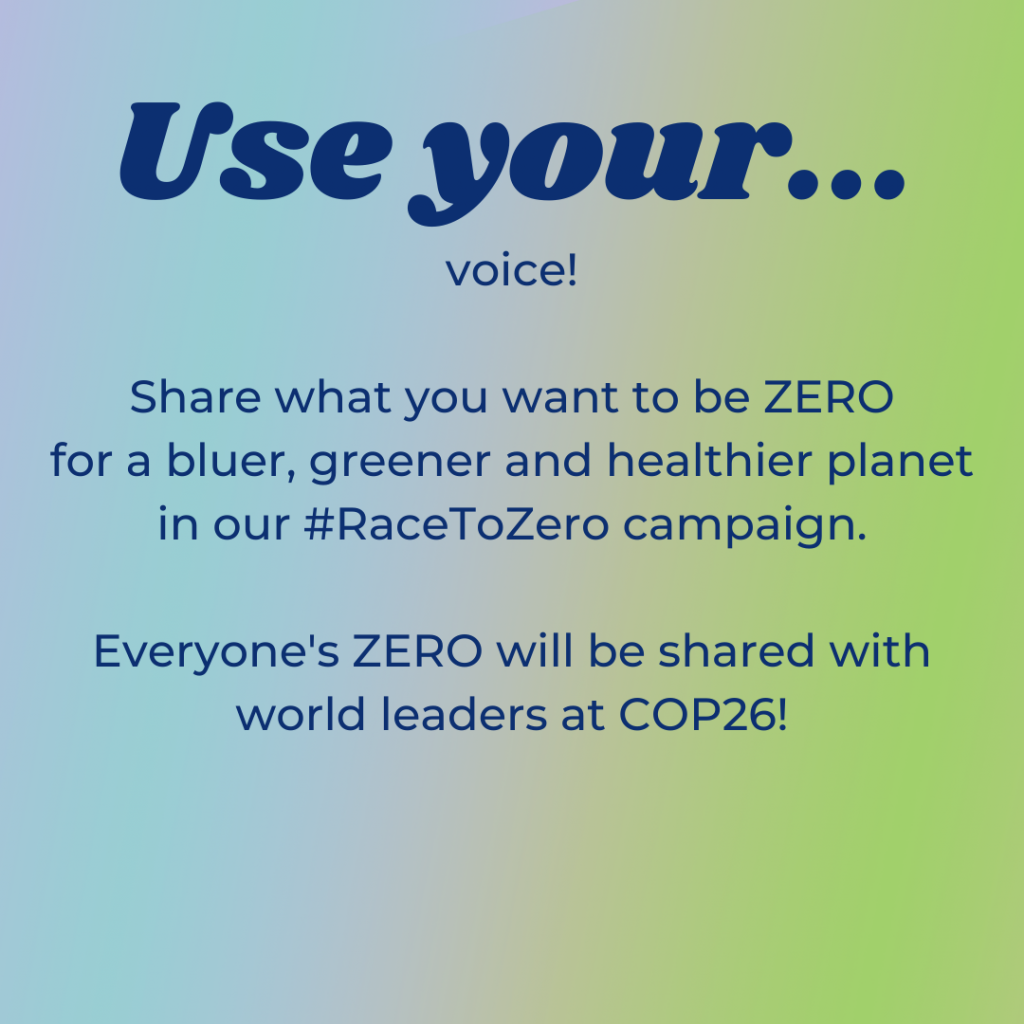 what is cop26 - Use Your