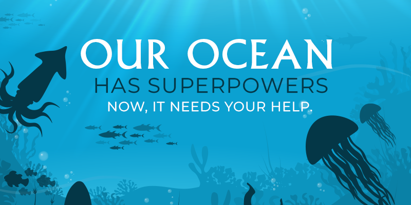 Help Save the Ocean Now